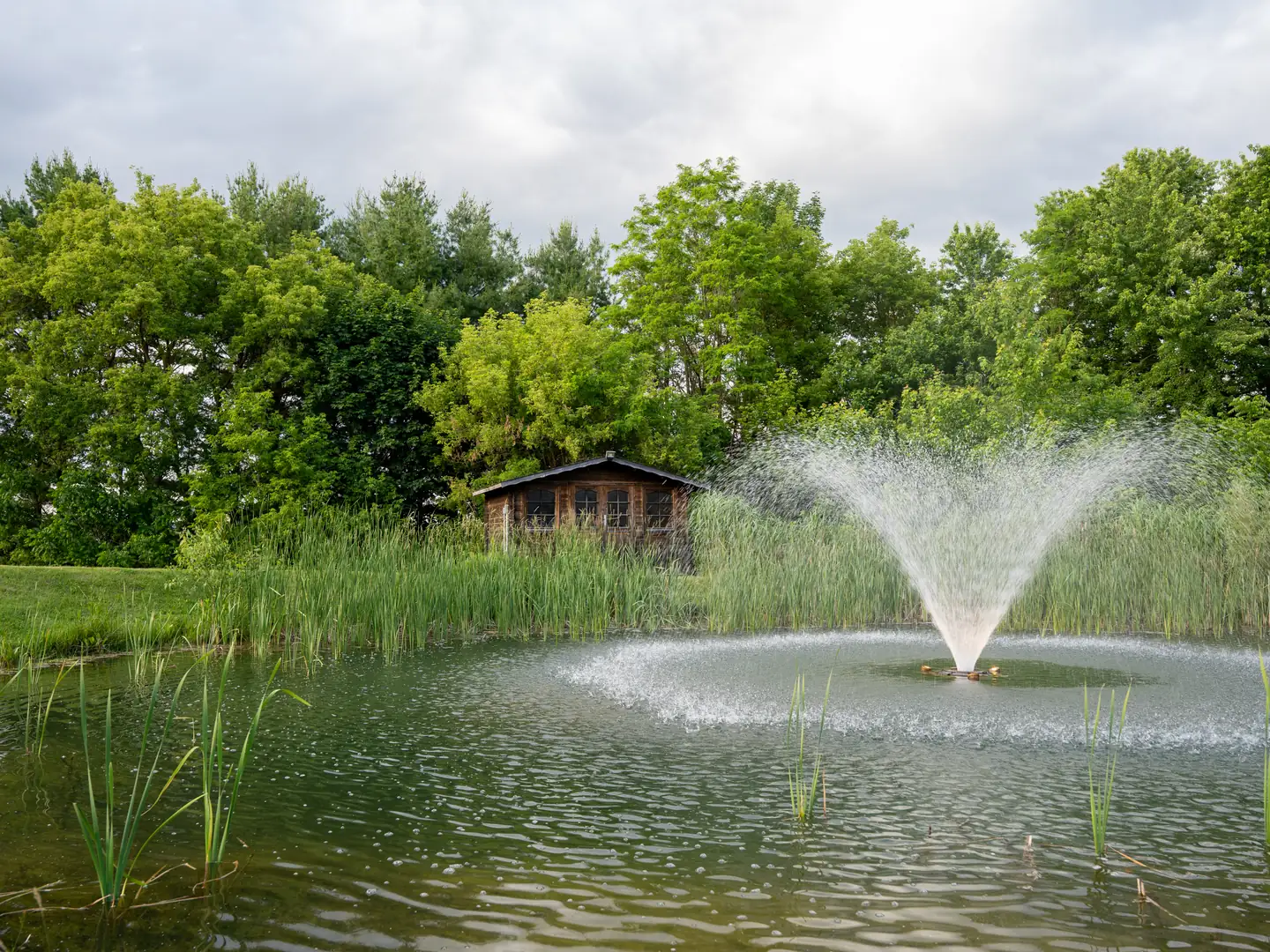 Fountain across the pond with a small outbuilding beyond