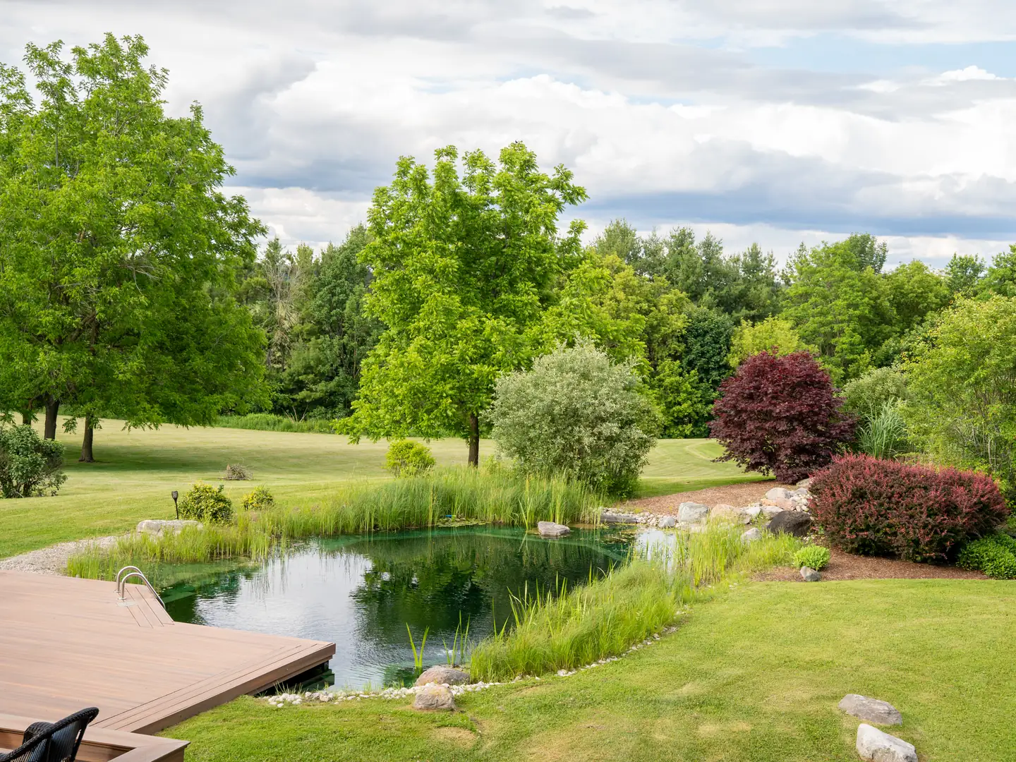 Natural pool and lawn clearing viewed from the deck, framed by maples and evergreens.