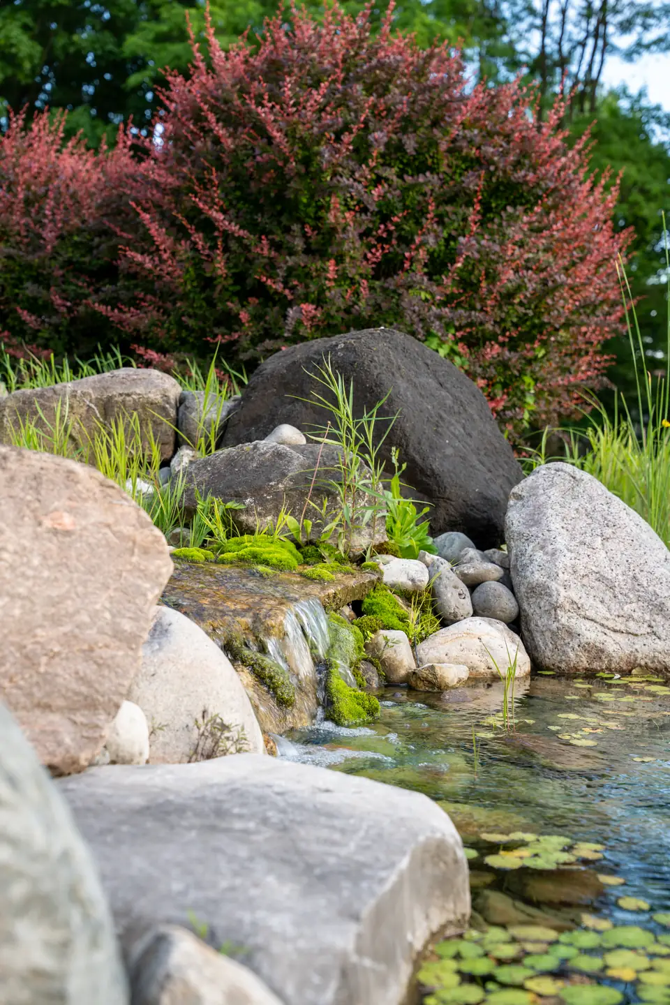 Stone waterfall and layered garden planting