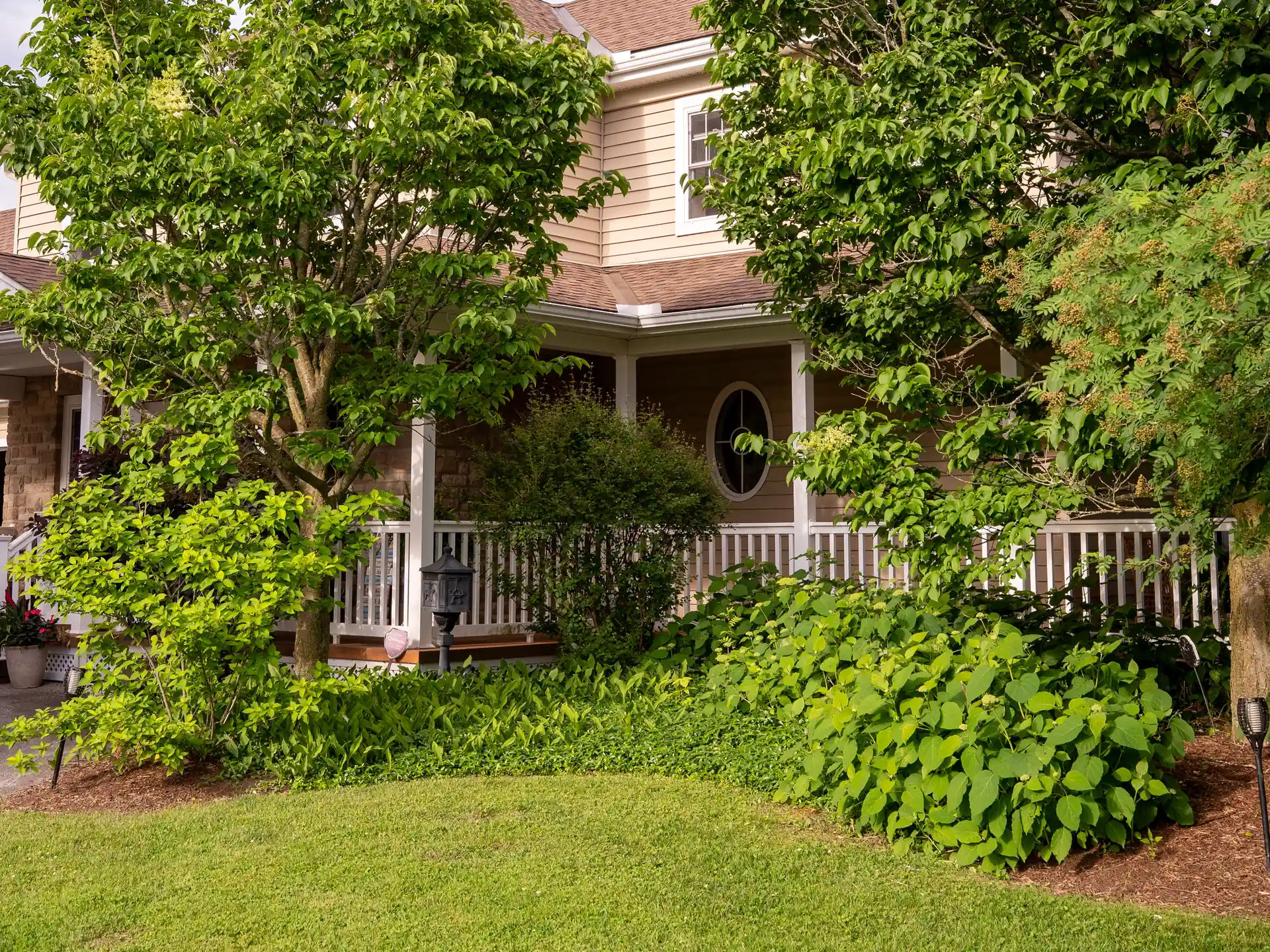 Front of the house seen through mature trees, with the oval window over the porch.