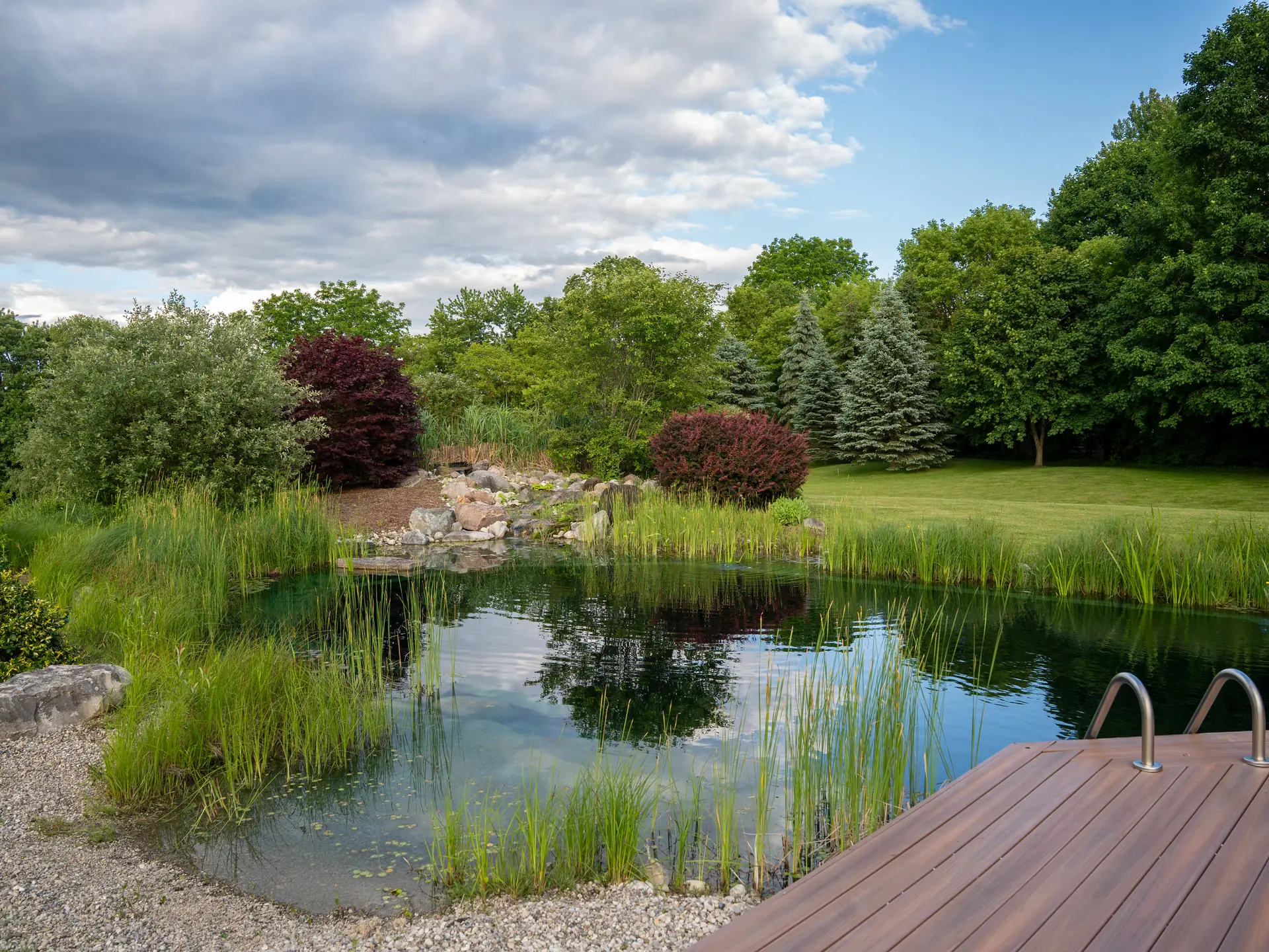 Pond and deck framed by mature planting